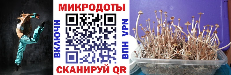 Псилоцибиновые грибы Magic Shrooms  Купить где  Крымск 